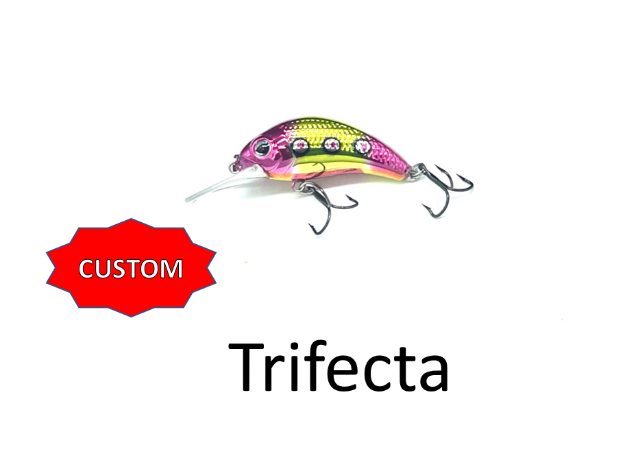 Boogie Shad 4- Custom Colors $9.99 Now $5