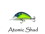 Boogie Shad 4 $5.99