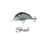 Boogie Shad 4 $5.99