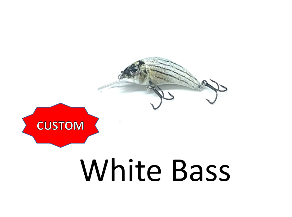 Boogie Shad 4- Custom Colors $9.99 – Walleye Nation Creations