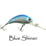 Boogie Shad 5 $5.99