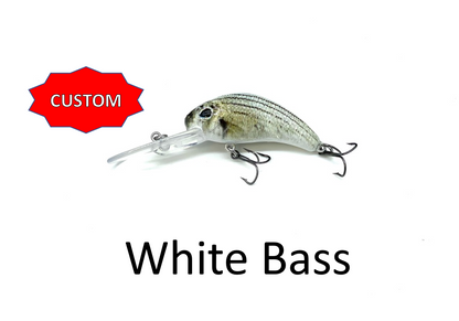 Boogie Shad 5- Custom Colors $10.99