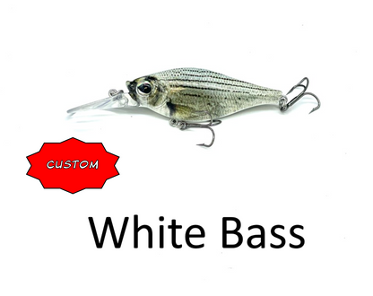 Shaky Shad 7 Customs $10.99