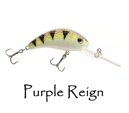 Boogie Shad 5 $6.49