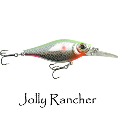 Shaky Shad Closeouts