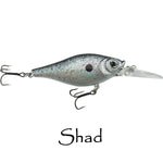 Shaky Shad 7 $5.99