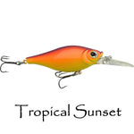 Shaky Shad 7 $5.99