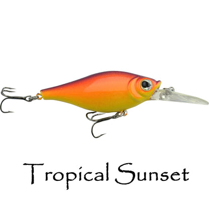 Shaky Shad Closeouts